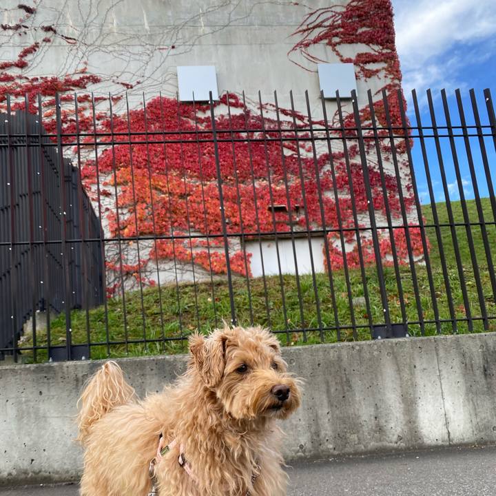 085e02dd 50d5 4a7a 911e aefb0a573aff 1634342959028