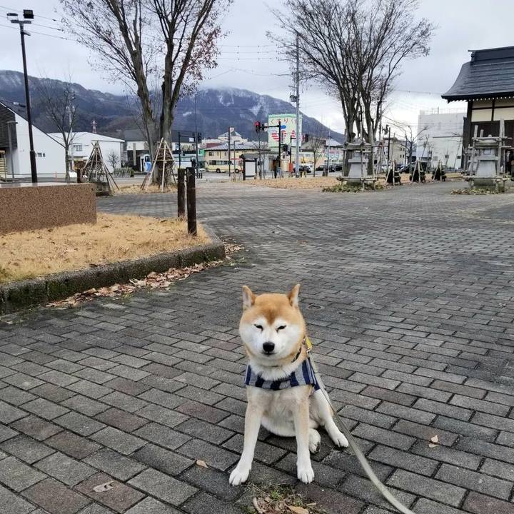 085e1285 bd02 464b a367 ddc6dd9c41d8 1578893904527