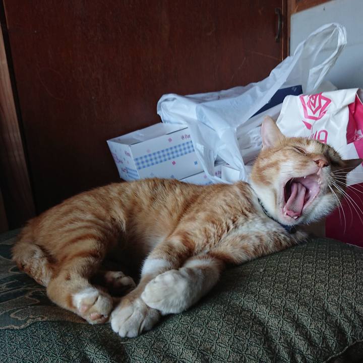 085e2719 0035 4045 9305 2e63733bb254 1567921979997