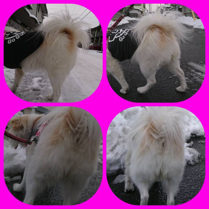 085e7ab8 c296 4af2 9b39 54fe61c68a01 1515161703088