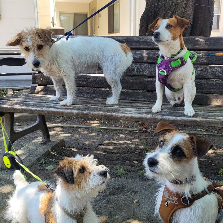 085eb355 1f95 4697 97fa a38ae1cd3b20 1687009774150