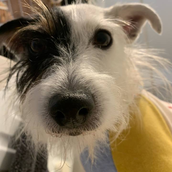 085f1140 1433 4107 a5ef b40a1162dbd9 1667263964282