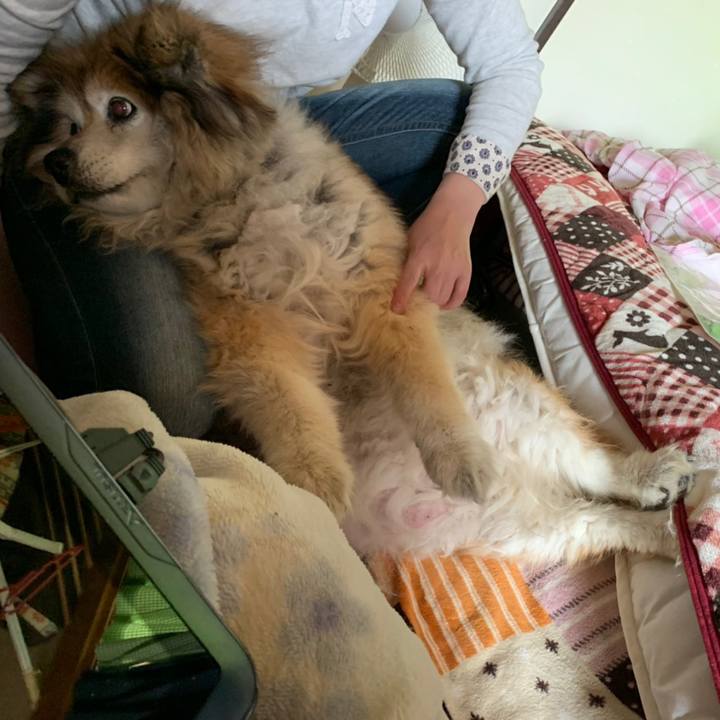 085f1e73 3600 4311 bd83 13f86473052d 1574123915523