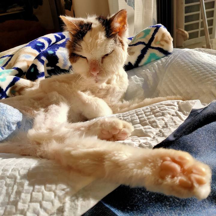 085f4892 af34 449e 874e 0a4932feb843 1611986772053