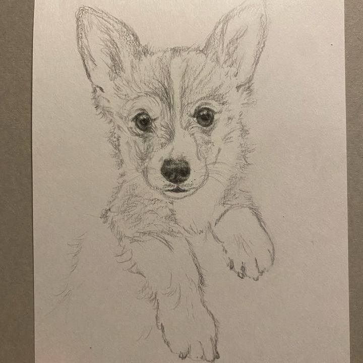 086004d9 8a6d 494f a2cb a1c599b3aa21 1665149226709