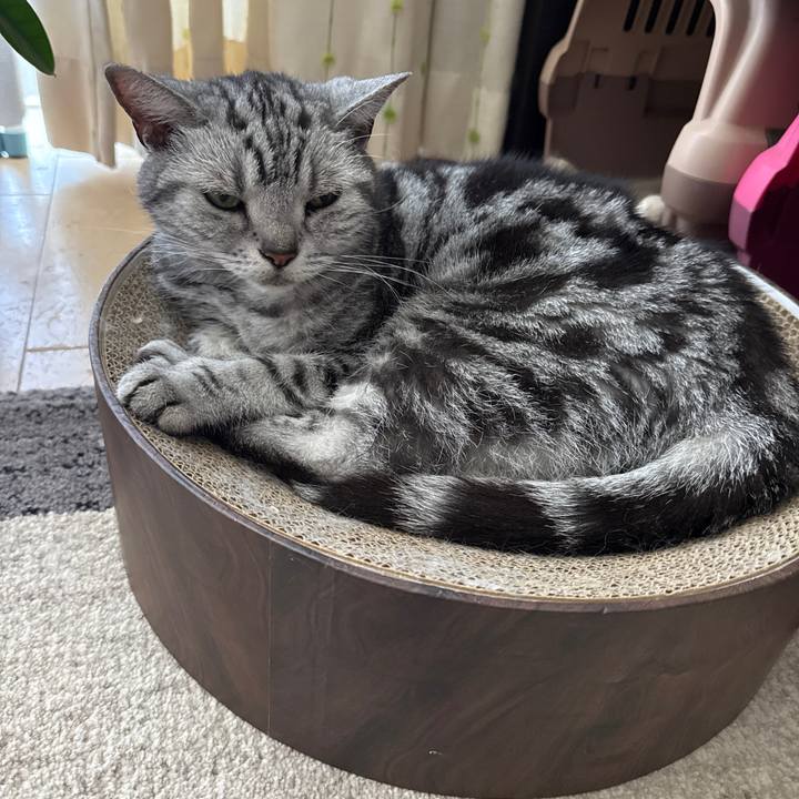 0860153b 2abd 49ac 9c05 13b92540f06e 1755920534872