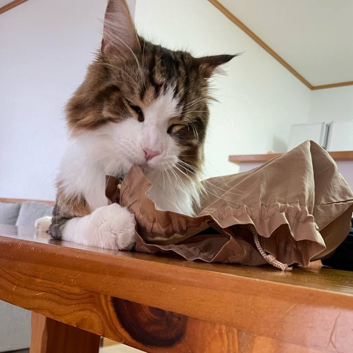 08603eb5 5e6d 4bd3 a89e 7449dcd5a551 1660081745380