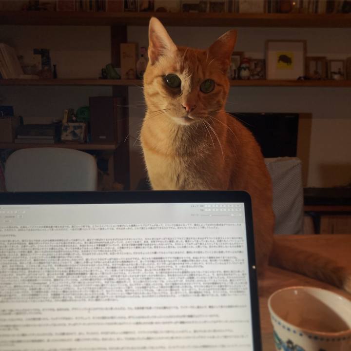 086053cf 274d 4690 a563 4ca407fef0e0 1670711844055