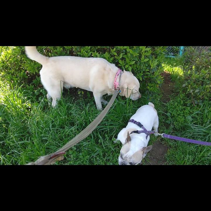 086053f5 8744 4bdf adcf 69afd31002da 1586430966727