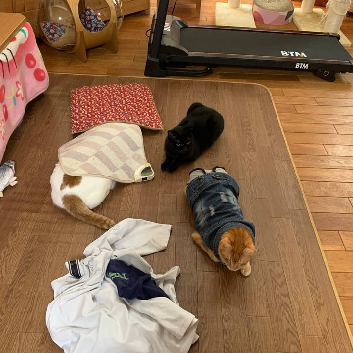 0860cc99 4590 47a1 b168 ea71f32c23b4 1646344992295