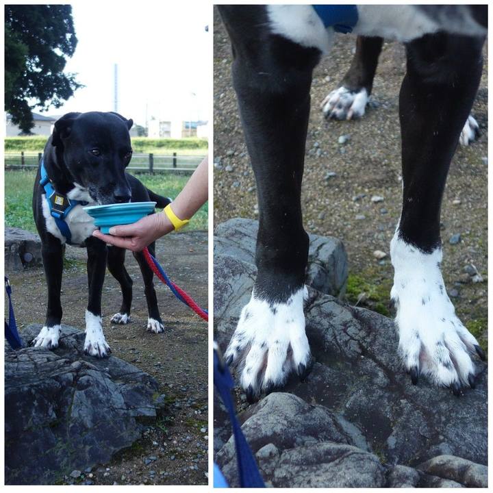 0861266d 05db 4407 ad4c d5135185a5ce 1632357138237