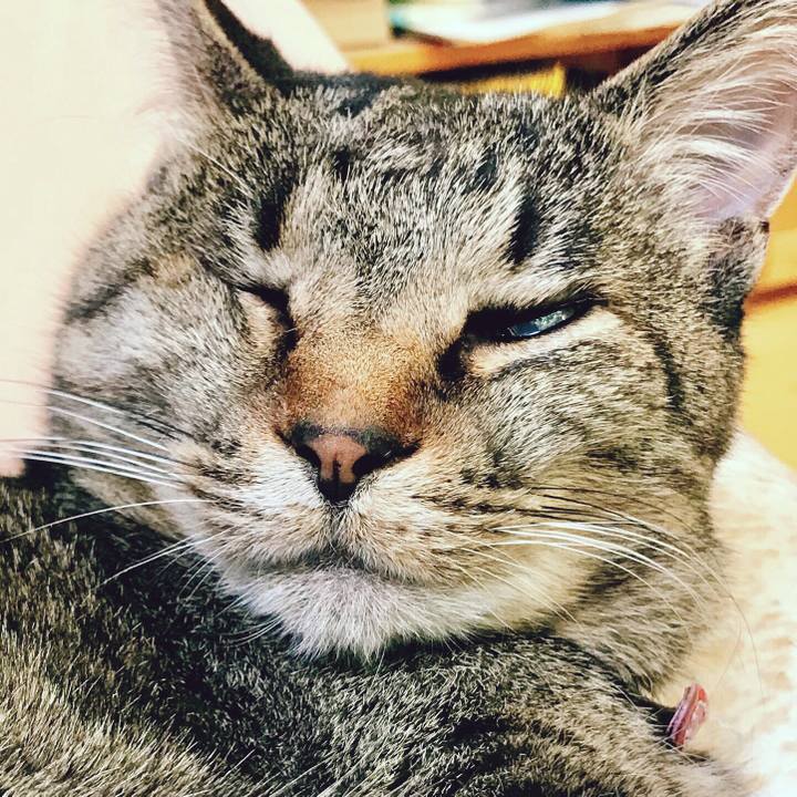 08613933 f21a 4496 843d bce583cf607d 1523539716807