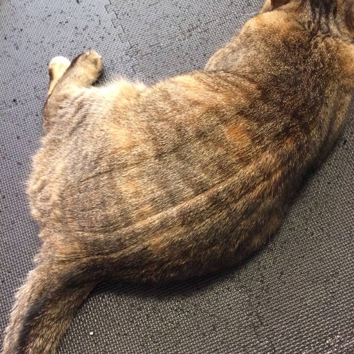 08614c96 b047 43c2 9d22 f13248083463 1582582888038