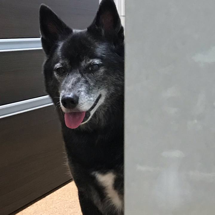 086153b6 5875 408a 80b8 0e33d9947dd4 1538743999327