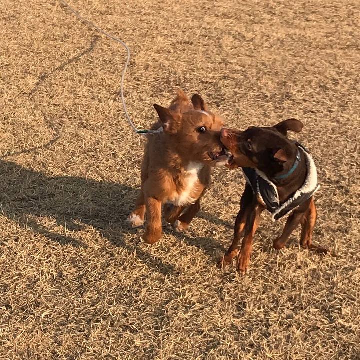 08616602 1f98 474d 9f24 66650c3a696e 1550322146428