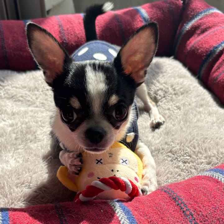 08618110 b5a2 464a 9562 1a505b75e816 1762767855050