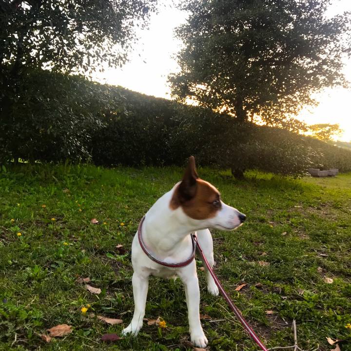 086189c9 4c5c 45ab 8449 63e68e692110 1524050019461