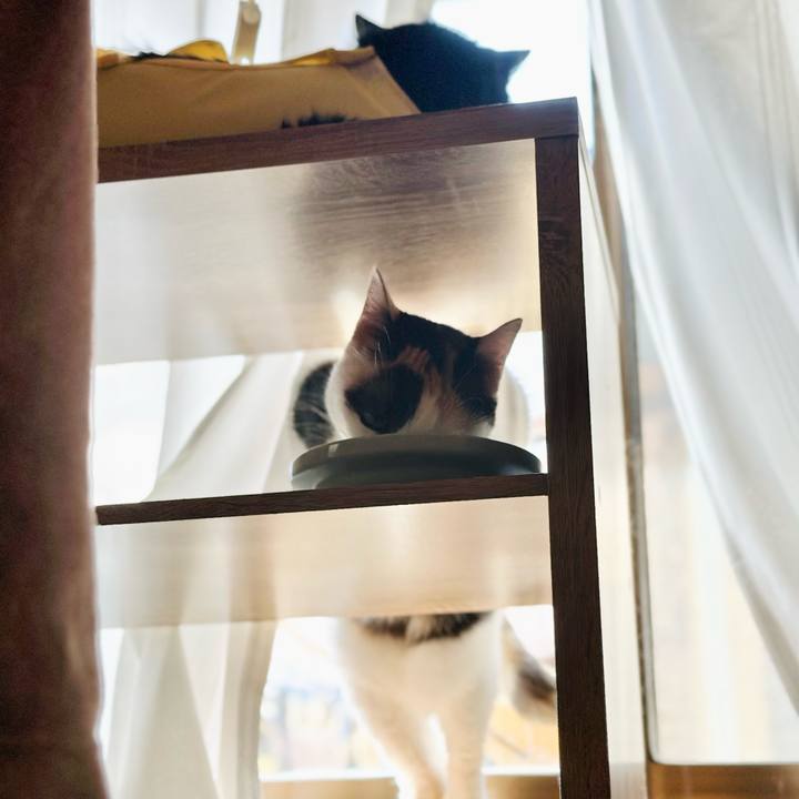 0861d780 cecd 4828 821d 07749393984a 1723598166384