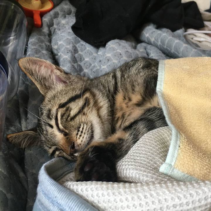 0862083e 62b7 497d 9c82 5c0867c8faa5 1591494203113