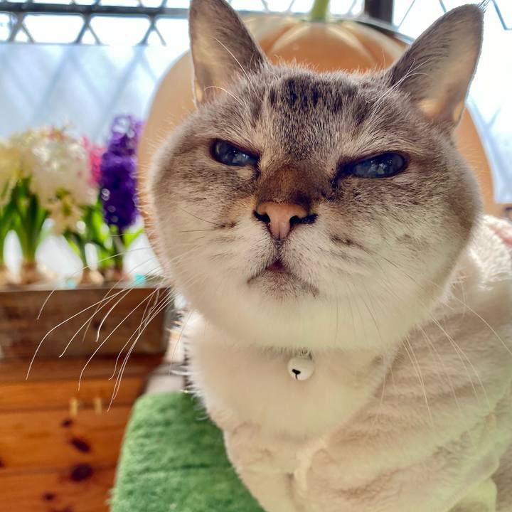 08621963 6625 4c52 b499 09c5c3287015 1611979538576