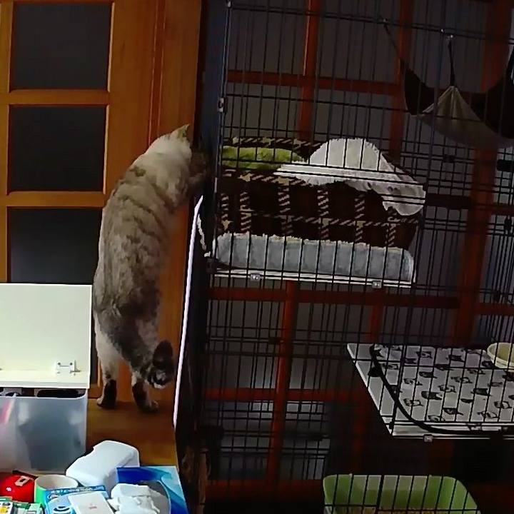 08623299 029b 44d6 8e83 c2ef28aebdcd 1521678673077