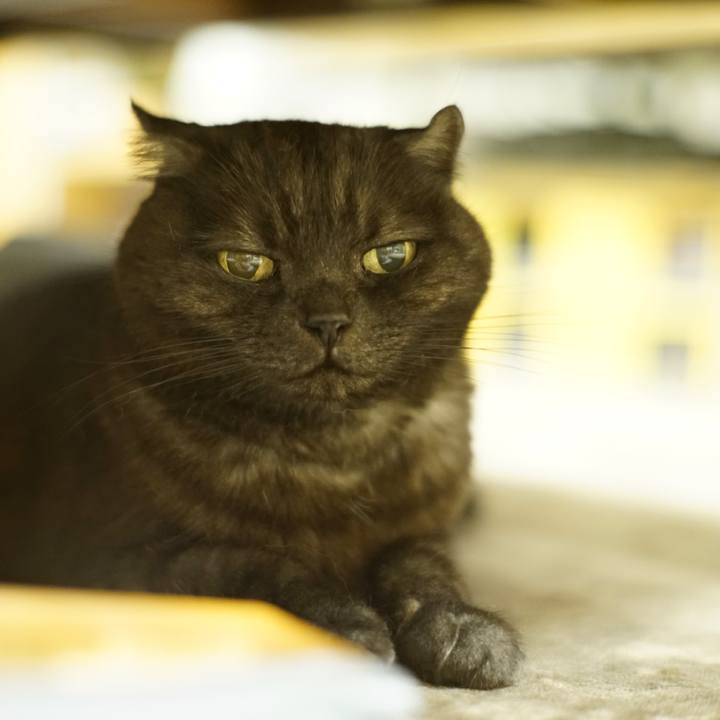 08623c52 7cfa 4ddf 8f45 d7bcacb56109 1621177185610