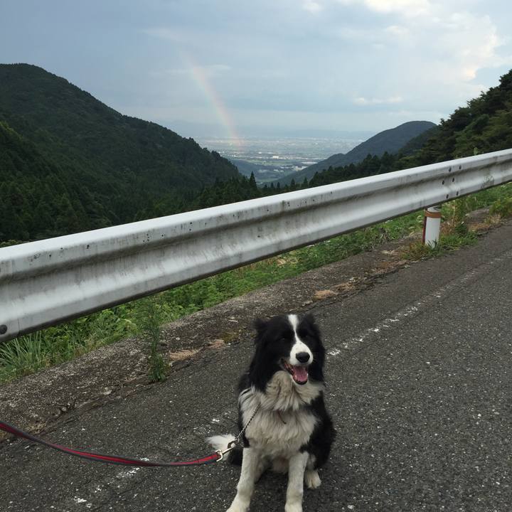 08623f2d 8755 4400 a2cf 00a5bd045e52 1534150528350