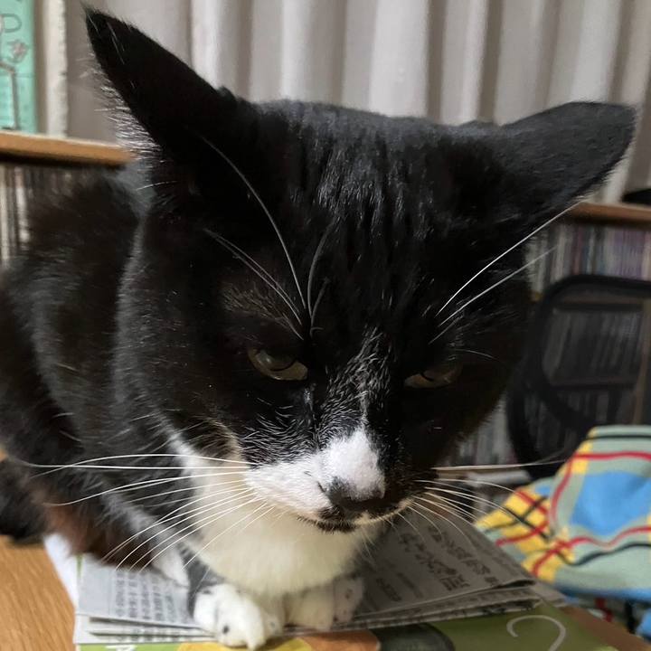 08625772 6d4c 4c73 a353 1e99f6f12ae3 1707276388071