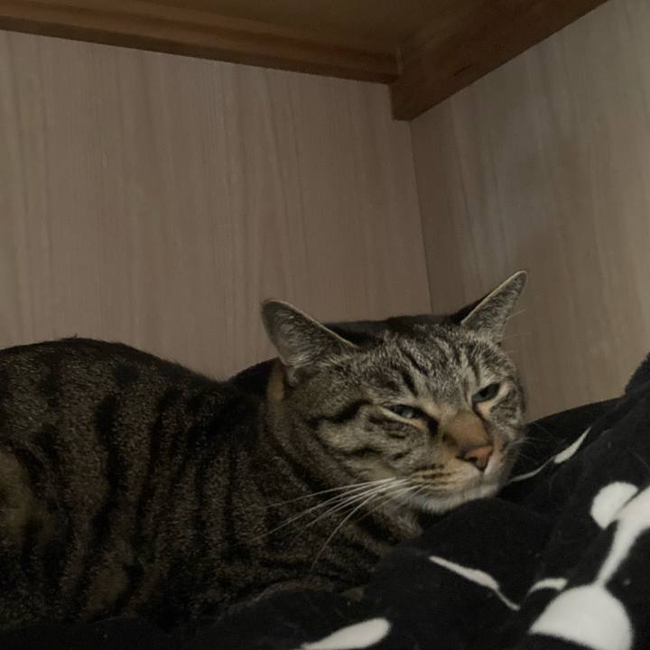 08626ede 0d45 4226 b74c 826268c2a6c2 1614223549937