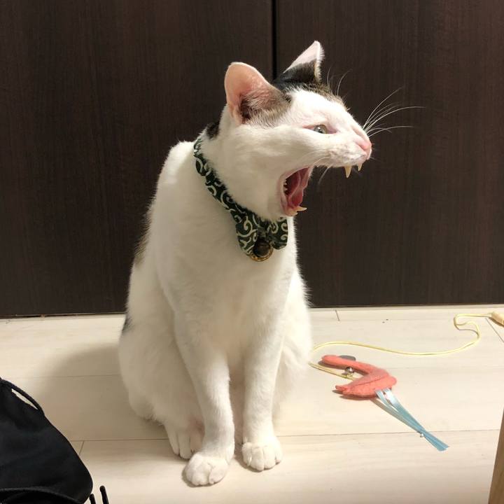 08626f71 9681 4801 9fbc 6fc1cb7d25f9 1534423796822