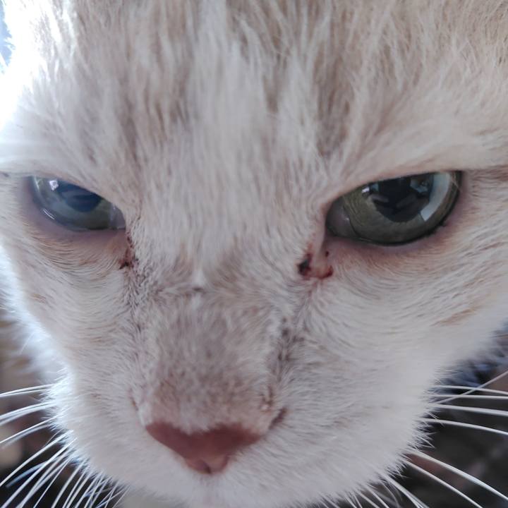 0862ce8c 955a 4dd3 9e34 e04e25473ccb 1737152040890