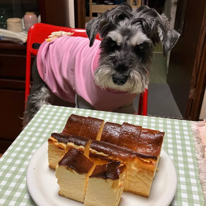 0862e9d9 052d 4874 9c4e 34fe7dc73971 1730637122772