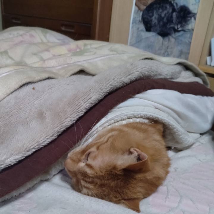 086300cf cb84 47aa b59a 1fe26463d289 1765773112588