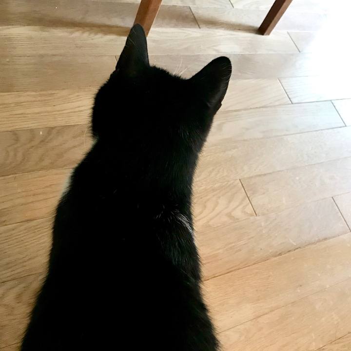 08630e7a fbf8 43fb 96b9 eb2627305d95 1519115806539