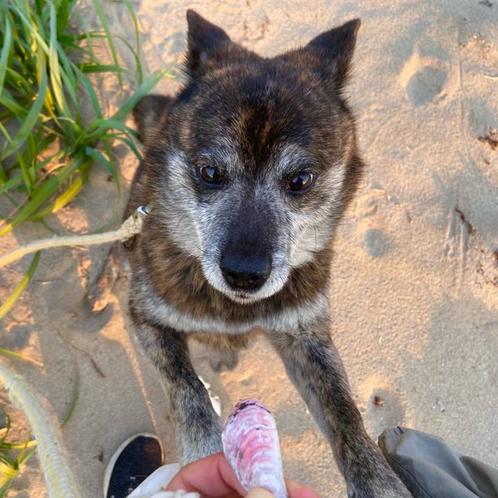 08631759 f9cb 4c37 a8e1 ac89b0febdf5 1652782879593