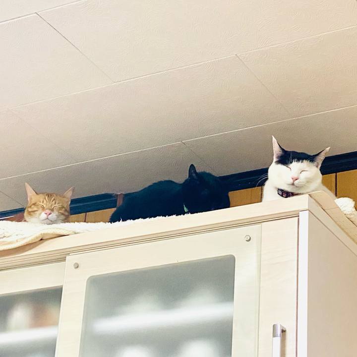 08632fa6 2074 47a8 9dcd 0f11733d3d3b 1671966009091