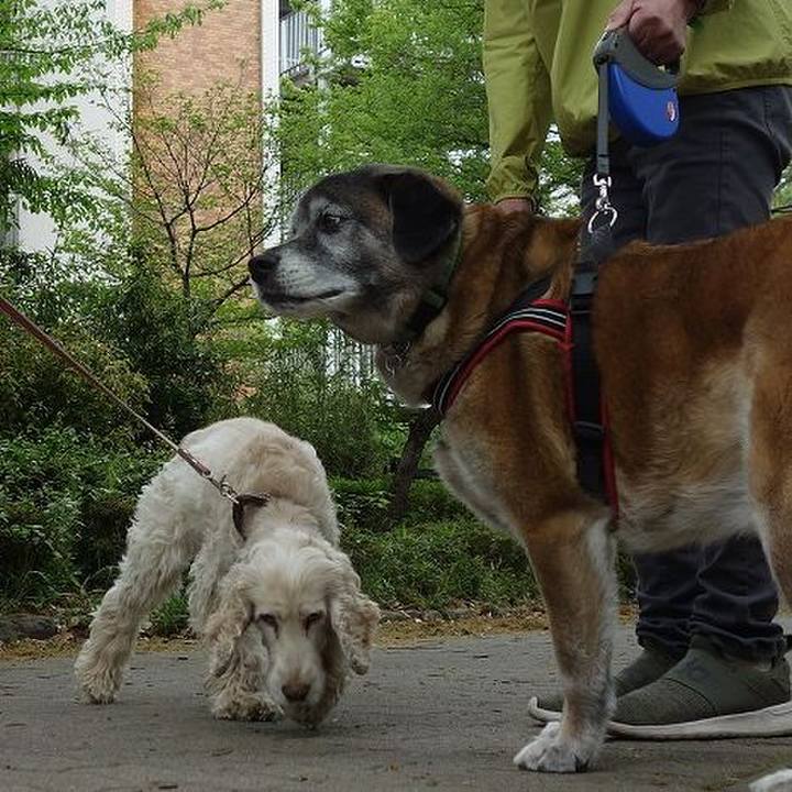 08635f54 74eb 453f 9ec7 3d7e351f7c02 1523671110074