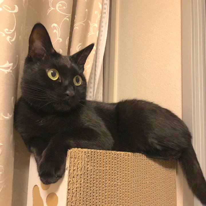 08636d28 0692 4fe1 9720 07c04ef51fae 1522941322618