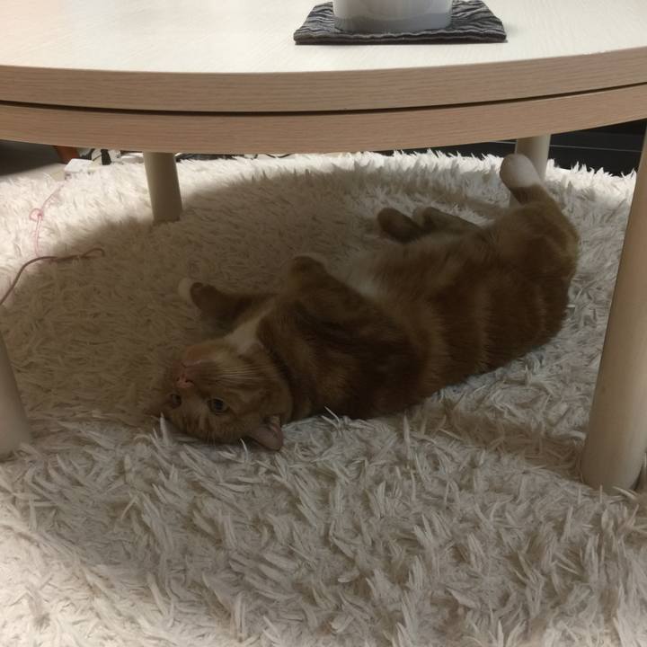 0863811a f951 4ace 8a96 7f7c61128f68 1592650407672