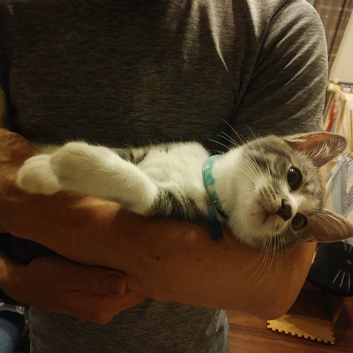 08639fe2 1336 4718 9655 189e132321e6 1564750807038