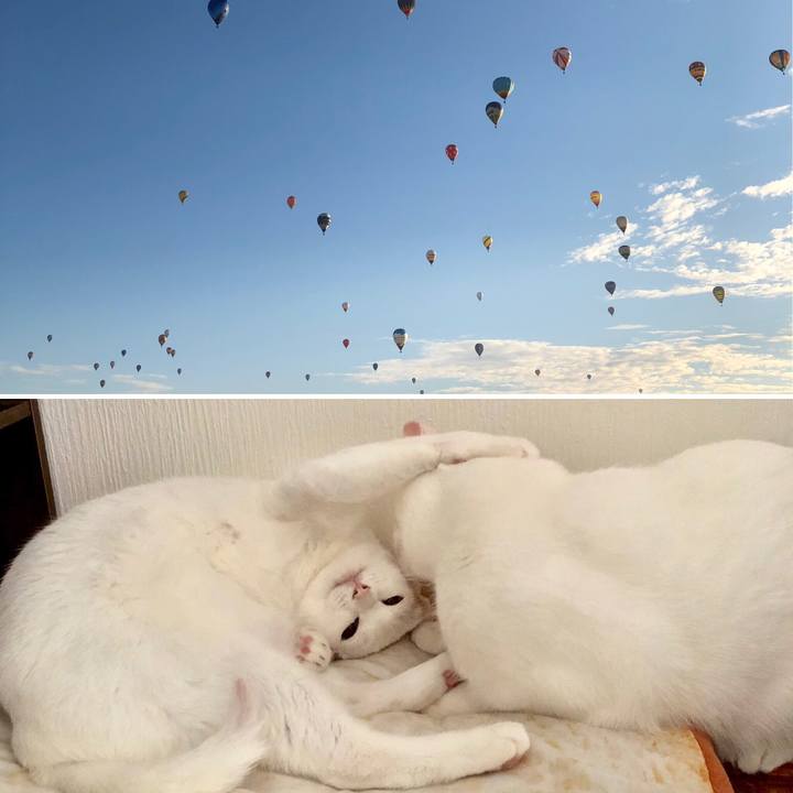 0863a3a5 6509 4ca1 b269 9bff1ac20df1 1541415099093