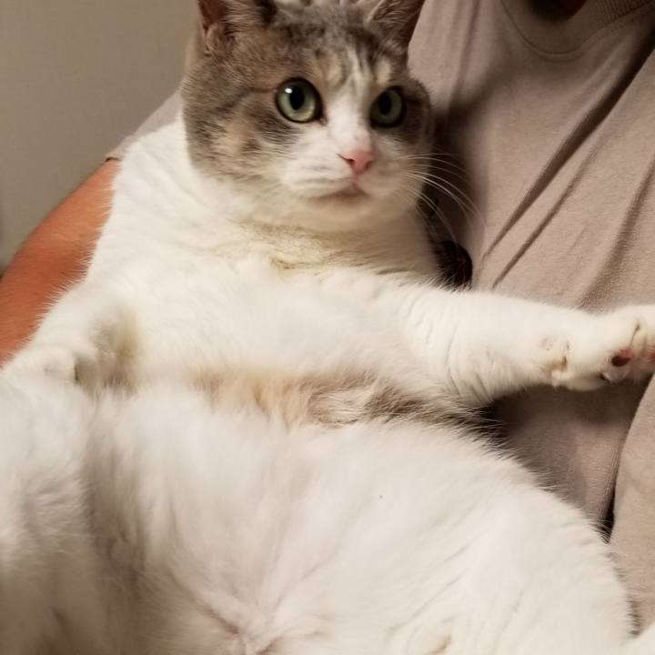 0863d8fc a720 4091 87f3 1dc6476d4ba4 1690768180263