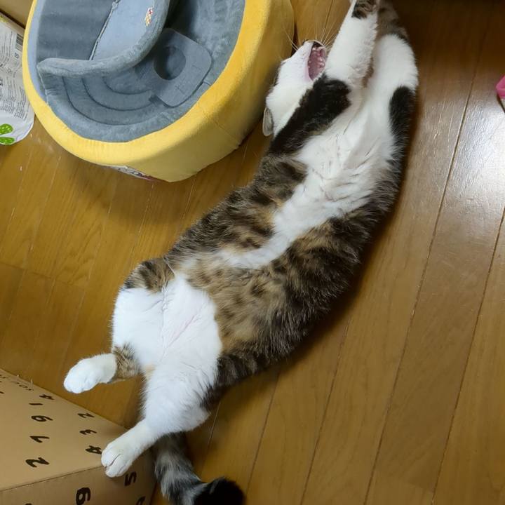 0863dd63 00e7 4f09 9ac7 eaa625cfc295 1678438338807