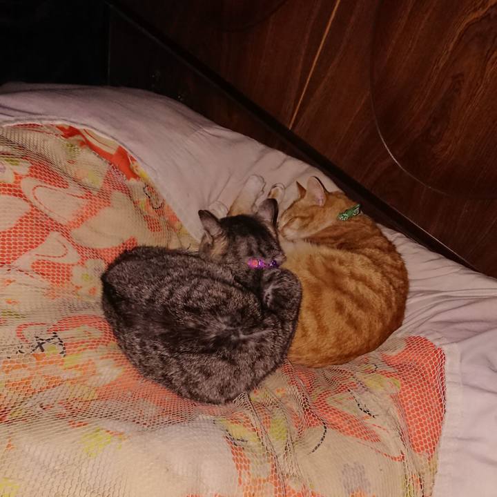 0863fedb 3c1e 4bf6 aa29 773f8a6b7c97 1585238035558