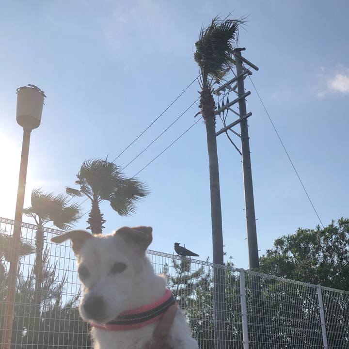 086482a1 f362 4a30 8355 b76dc7ec203b 1653216640294