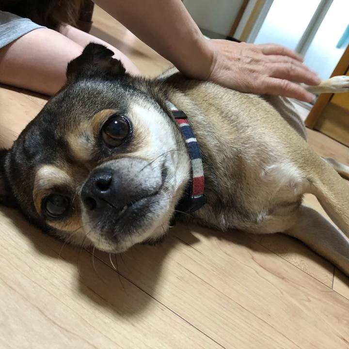 0864a3c5 08f9 4560 aed2 b3b200eb3f7d 1531977191049