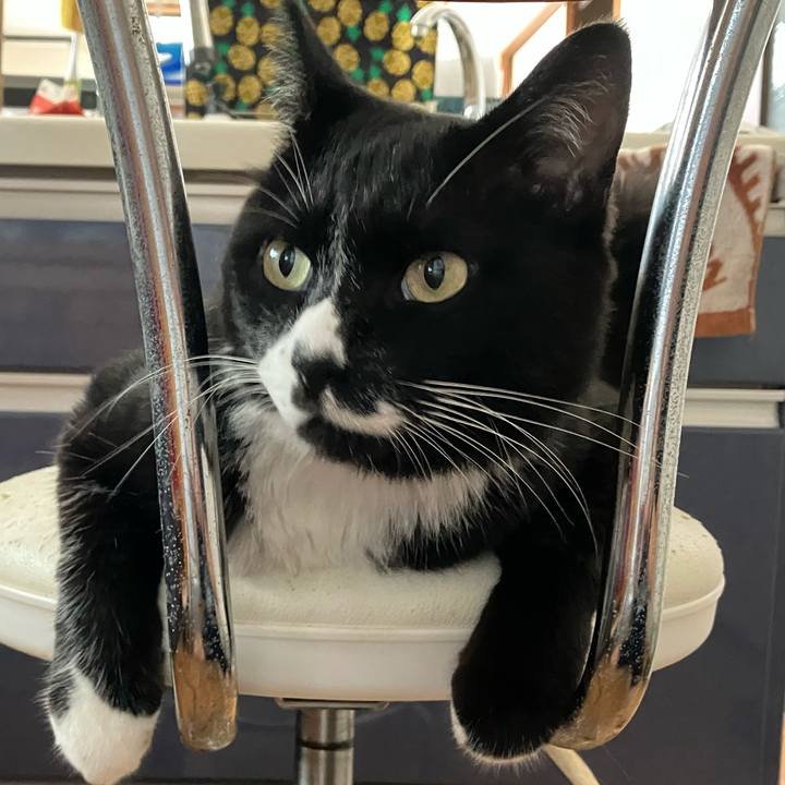 0864b272 8ad6 4872 83c9 2f2a299ce44b 1763003346147