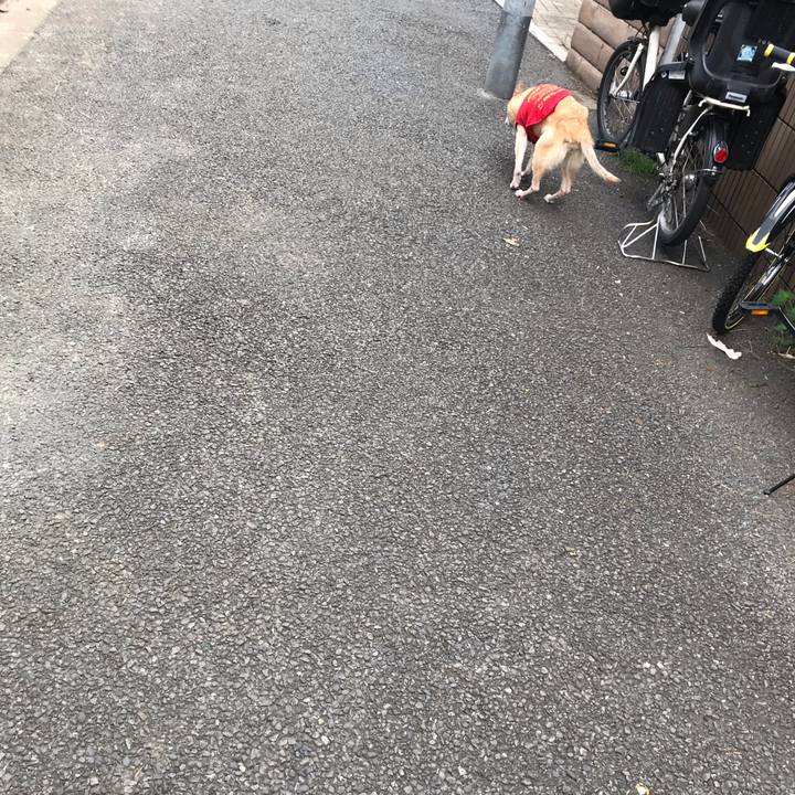 0864d14c 2ea1 4217 9bf1 9aa95435f17d 1567289109956