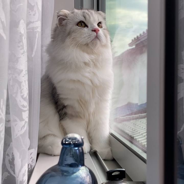 0864dabc 18ed 466d a4e5 40a9fd8e51ab 1603197237439