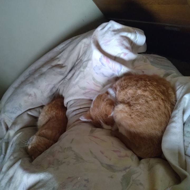 0865042b f97f 416e 976b ca3673894063 1761972501763